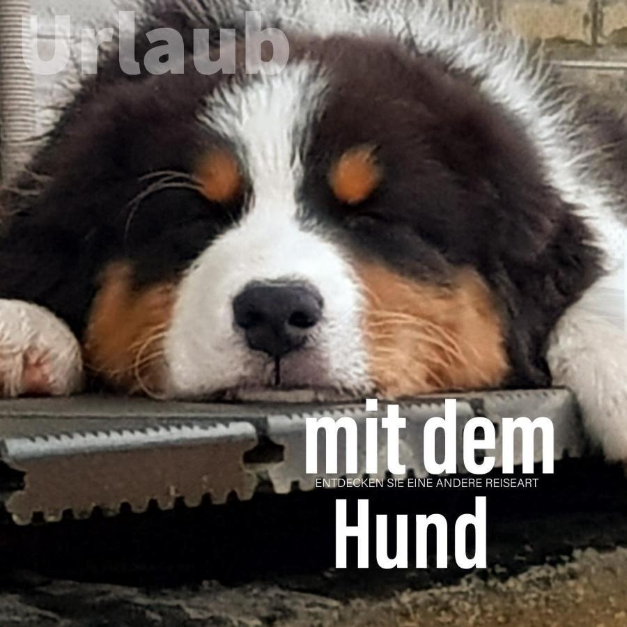 Der Seehof Heimbach Eksteriør bilde